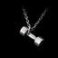 Gym dumbbell pendant 925 silver dumbbell pendants SSP100