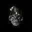 Unleash Your Style with Hat Covering Face Skull Rings