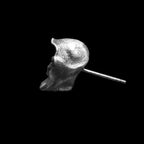 Death skull stud earrings 925 sterling silver death earrings