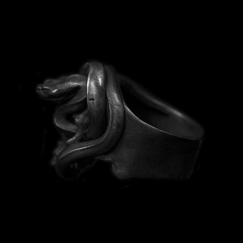The Allure of snake winding skull rings with snake ring 