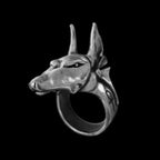 Anubis Ring symbol of timeless elegance powerful allure