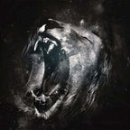 Male lion ring 925 silver King of Grassland lion ring SSJ238