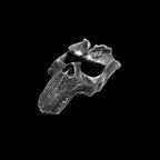 Dark Souls Silver Skull Pendant - Handcrafted Gothic Jewelry | Soulsborne Fan Gift