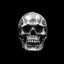 Domineering Skull Ring - Heavy 925 Silver Gothic Power Statement Jewelry