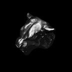 Tiger rings they're the embodiment of empowerment