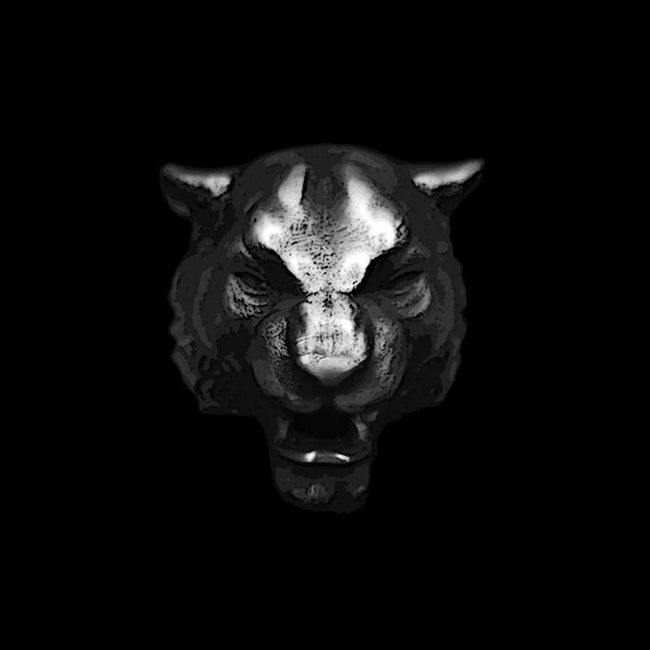 Tiger rings they're the embodiment of empowerment Main Image