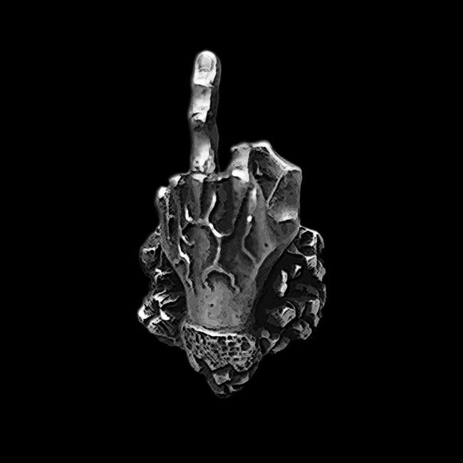 Middle finger ring Express emotions with Fuck you ring  Hover Image