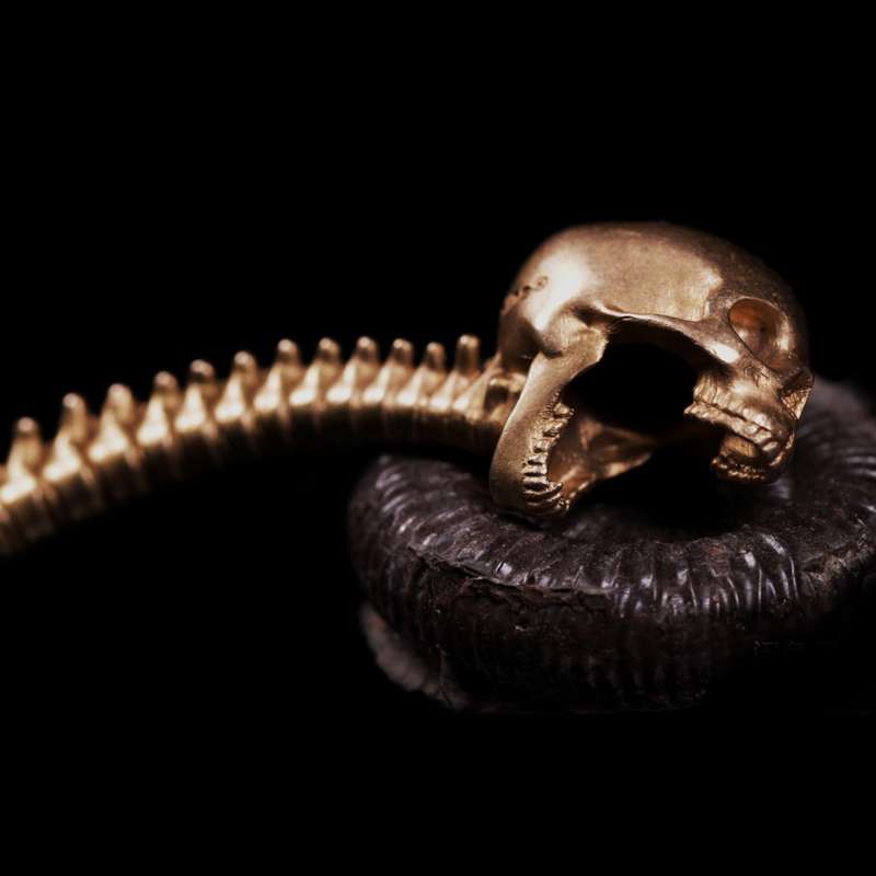 Skull Bottle opener Brass skull screwdriver