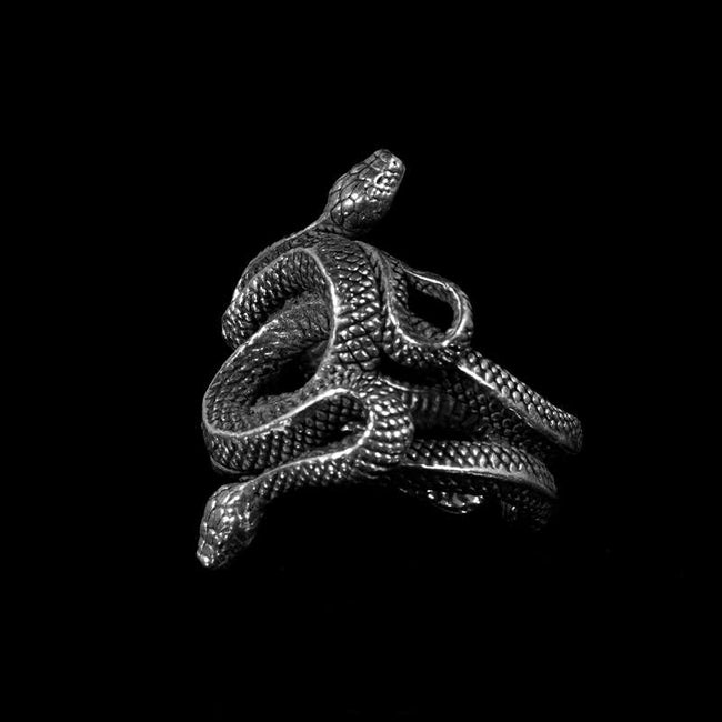 Double snake rings Coiled Silver Snake Ring Main Image