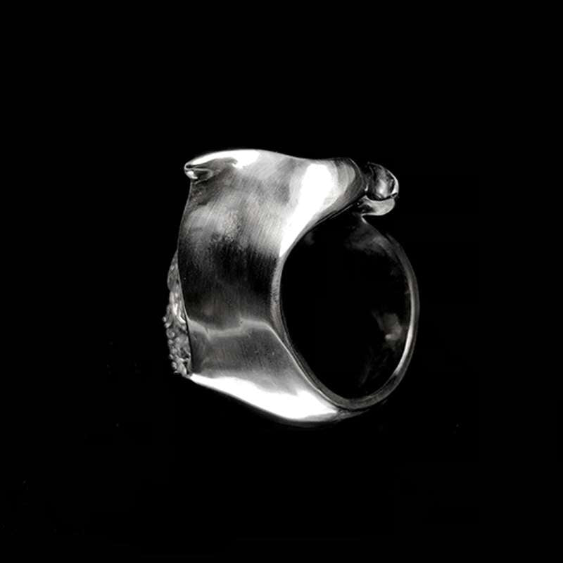 Unleash Your Style with Hat Covering Face Skull Rings