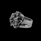 Joker Rings is iconic character particularly the mesmerizing Joker smile