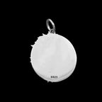 Lion Pendant Grassland Overlord lion king 925 Silver Lion necklace