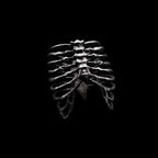 Sternum Ring is Unique and Artistic Masterpiece in the Realm of Skeleton Rings