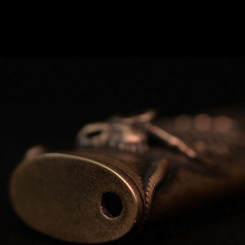 Brass Grasshopper Lighter Case | Hand-Engraved BIC Cover