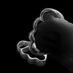 Two Holes Steel Knuckles - Tactical 304SS Defense Artifact