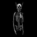 Skull skeleton necklace Handmade 925 Silver Skull necklace SSN12