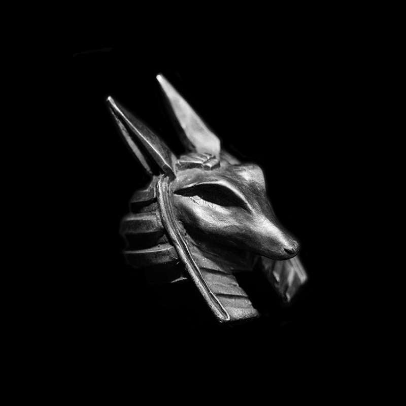 Anubis Ring on your finger you'll experience unparalleled advantages