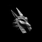 Anubis Ring on your finger you'll experience unparalleled advantages