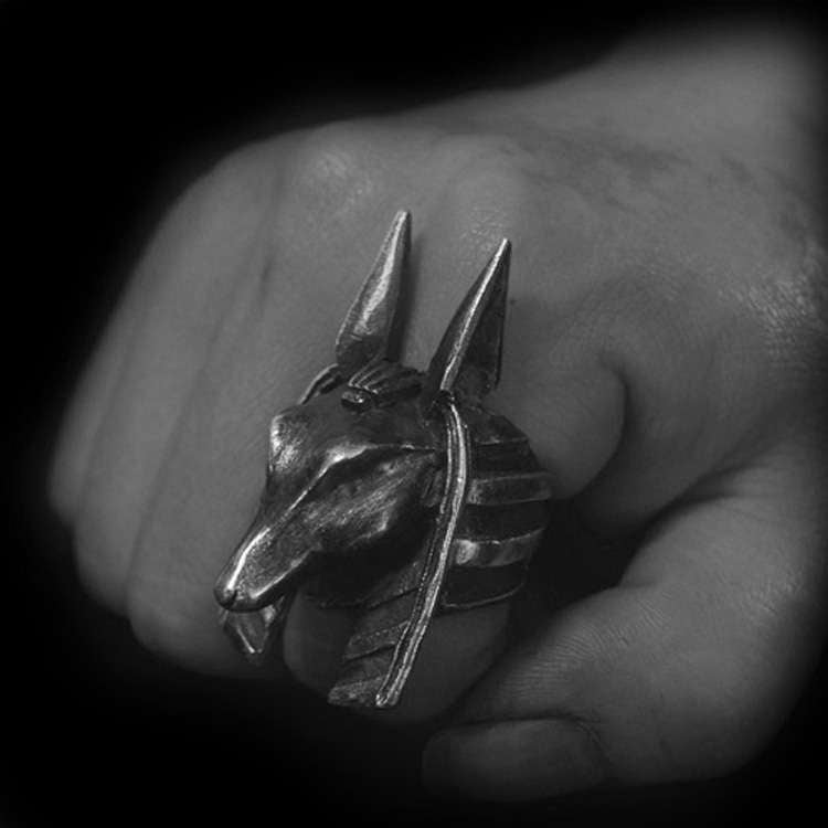 Anubis Ring on your finger you'll experience unparalleled advantages