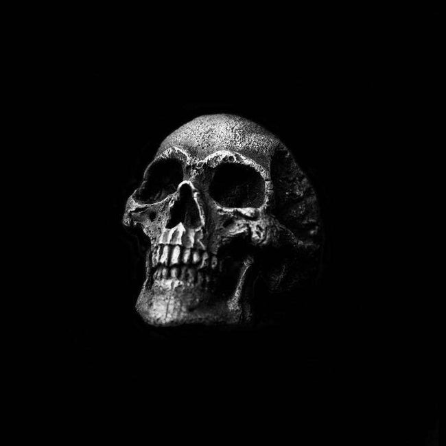 Haley Skull Ring Skull Jewelry Silver Skull ring SSJ40 Hover Image