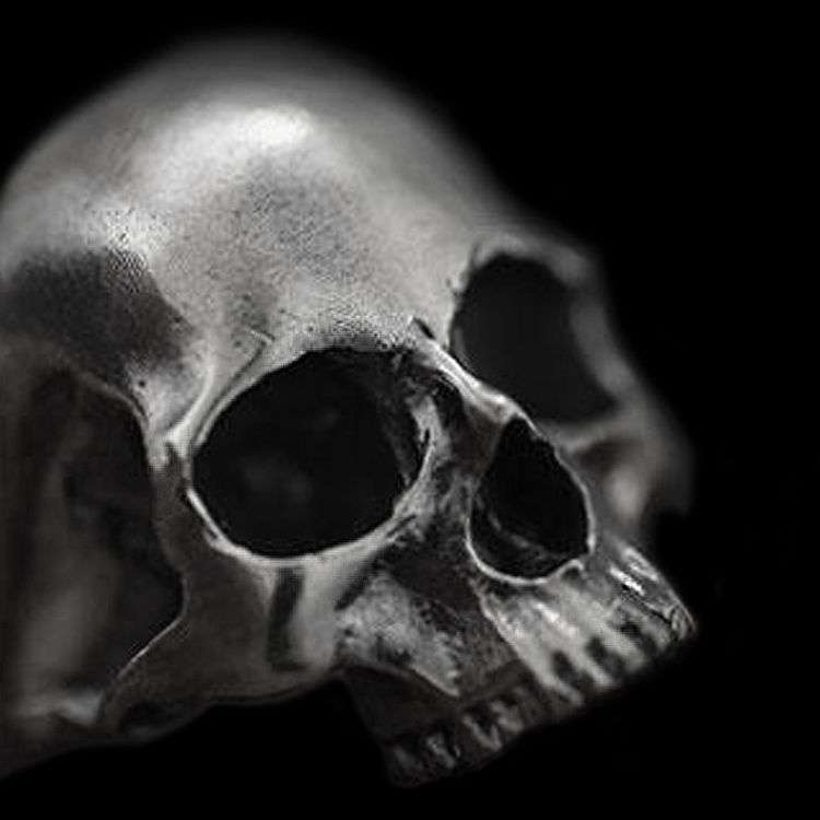 Realism Skull ring 925 silver No jaw Skull ring SSJ52