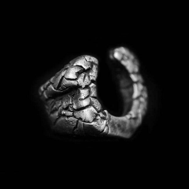 Horseshoe silver ring Silver Skull ring SSJ56 Hover Image