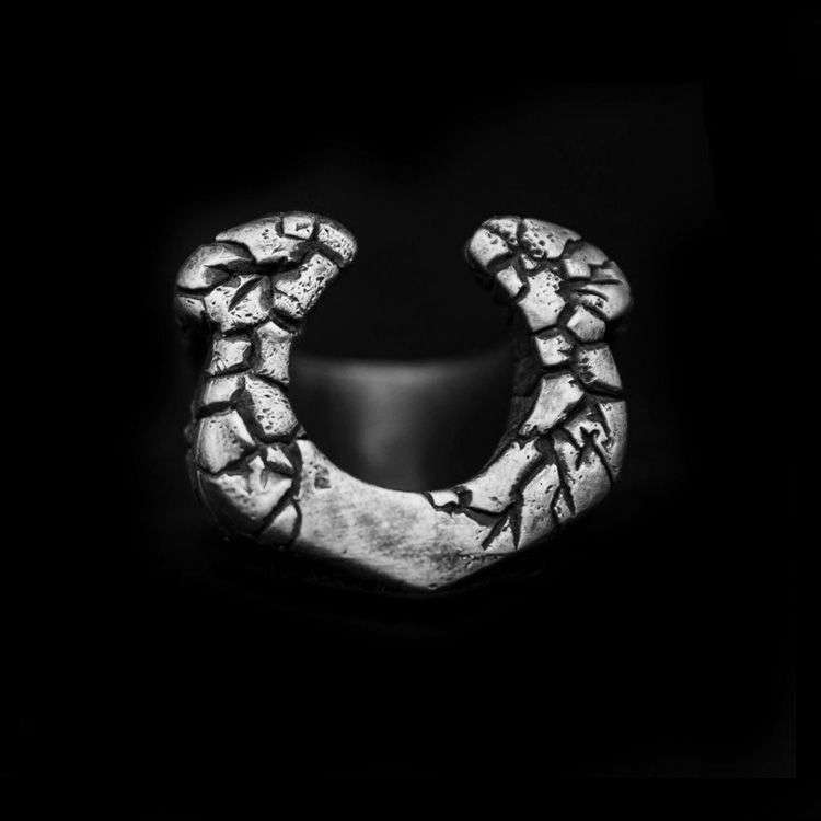 Horseshoe silver ring Silver Skull ring SSJ56
