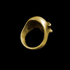 Unleash Your Edge with the Brass Skull Punisher Ring