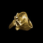 Unleash Your Edge with the Brass Skull Punisher Ring