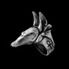 Anubis Ring symbol of timeless elegance powerful allure