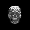 Gothic Rings of skull rings are expressions of individuality history and cultural significance