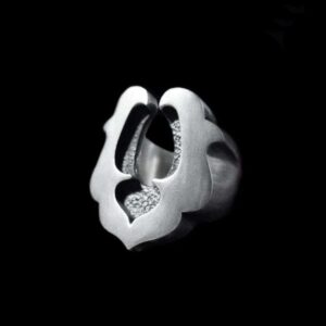 Lucky Horseshoe Ring 925 silver Horseshoe rings SSJ156