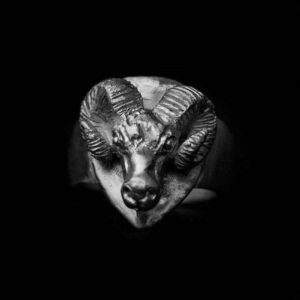 Ram Ring in 925 Sterling Silver | MENSSKULL