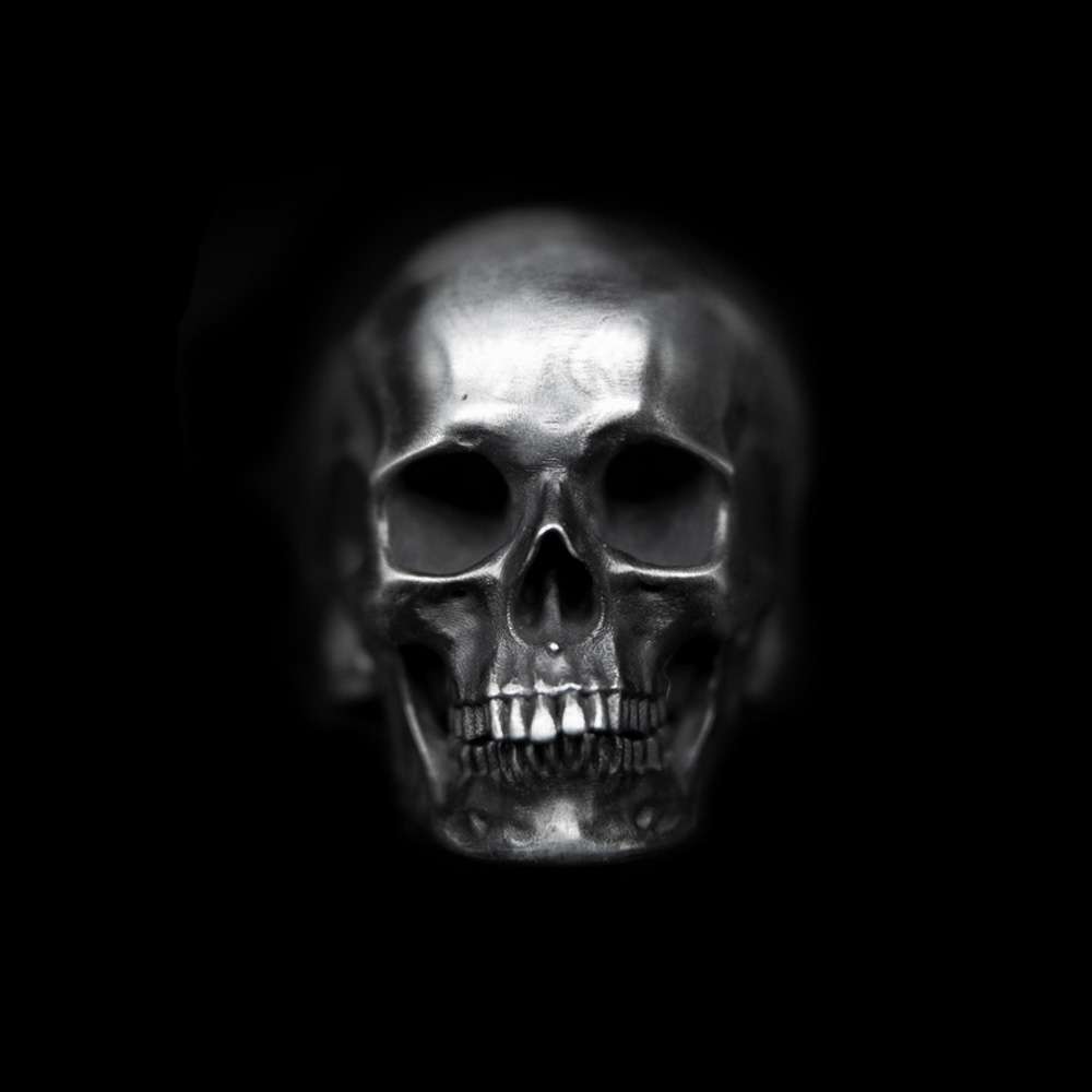Allure of Silver Men's Skull Rings Bold Fashion Statement - Image 2