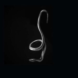 Little snake earring 925 sterling silver snake earrings