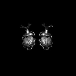 Lady Beetle Earrings - 925 Sterling Silver Lucky Ladybug Stud Earrings