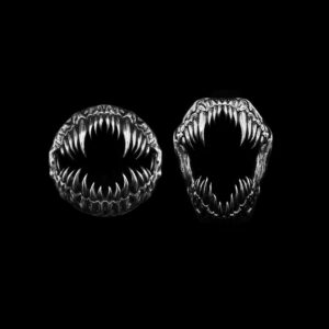 Ear Tunnels - Stainless Steel Ear Plugs & Stretching Tunnels for Men and Women
