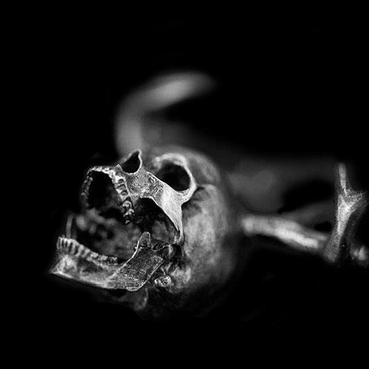 Antler Skull Pendant - 925 Silver Pendant Necklace for Men - Image 3