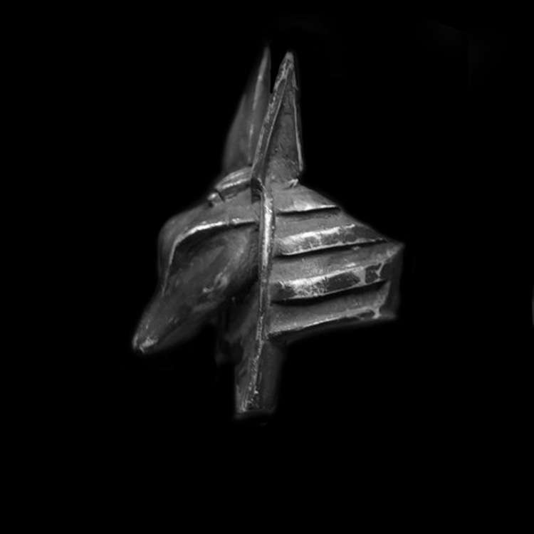 Anubis Ring on your finger you'll experience unparalleled advantages