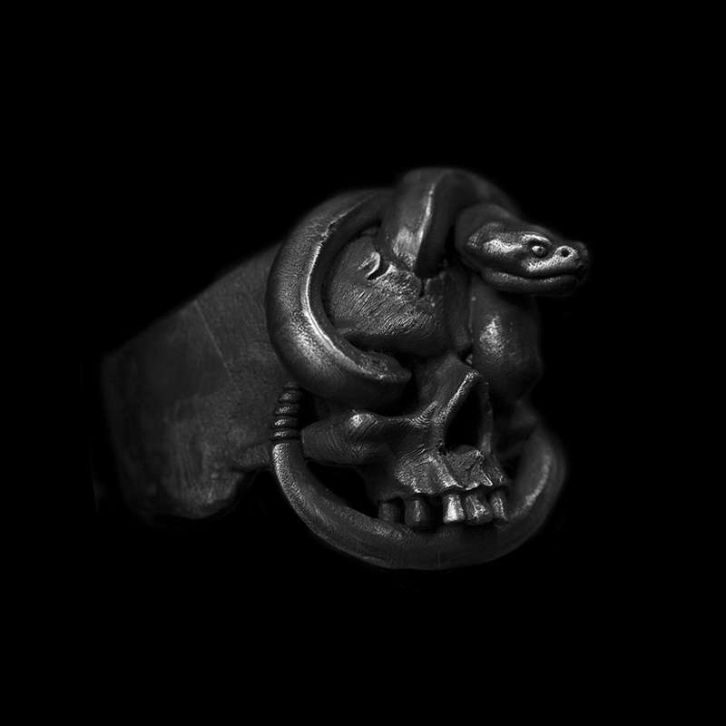 The Allure of snake winding skull rings with snake ring