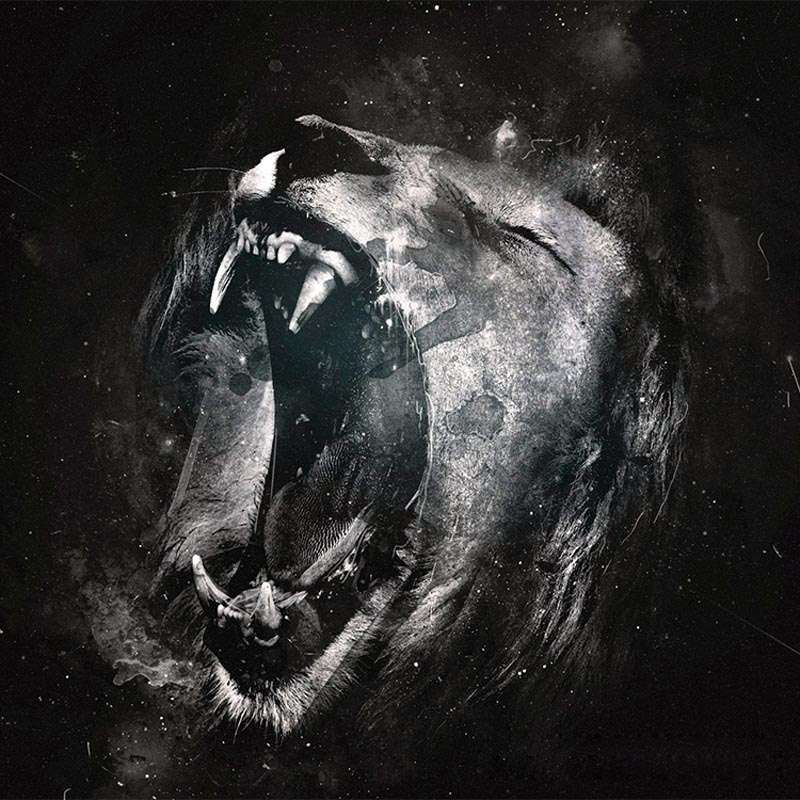 Male lion ring 925 silver King of Grassland lion ring SSJ238