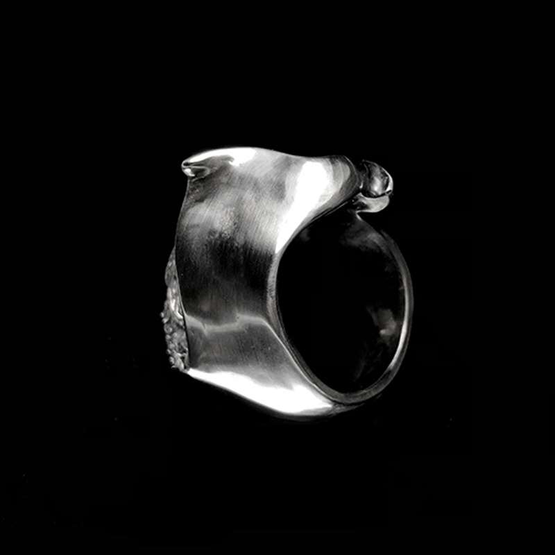 Unleash Your Style with Hat Covering Face Skull Rings